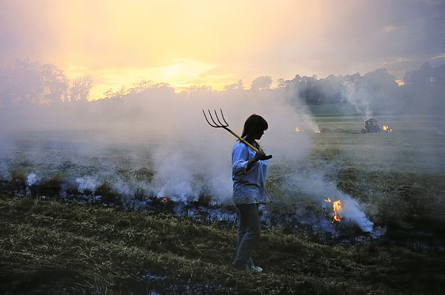 Stubble burning meaning and its impact on environment