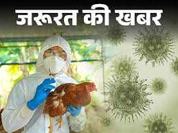 bird-flu-explained-in-hindi