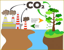 Carbon Trading Kya Hai