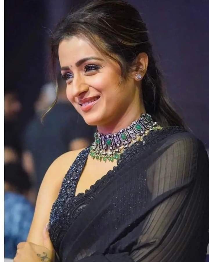 Who Is Trisha Krishnan Husband